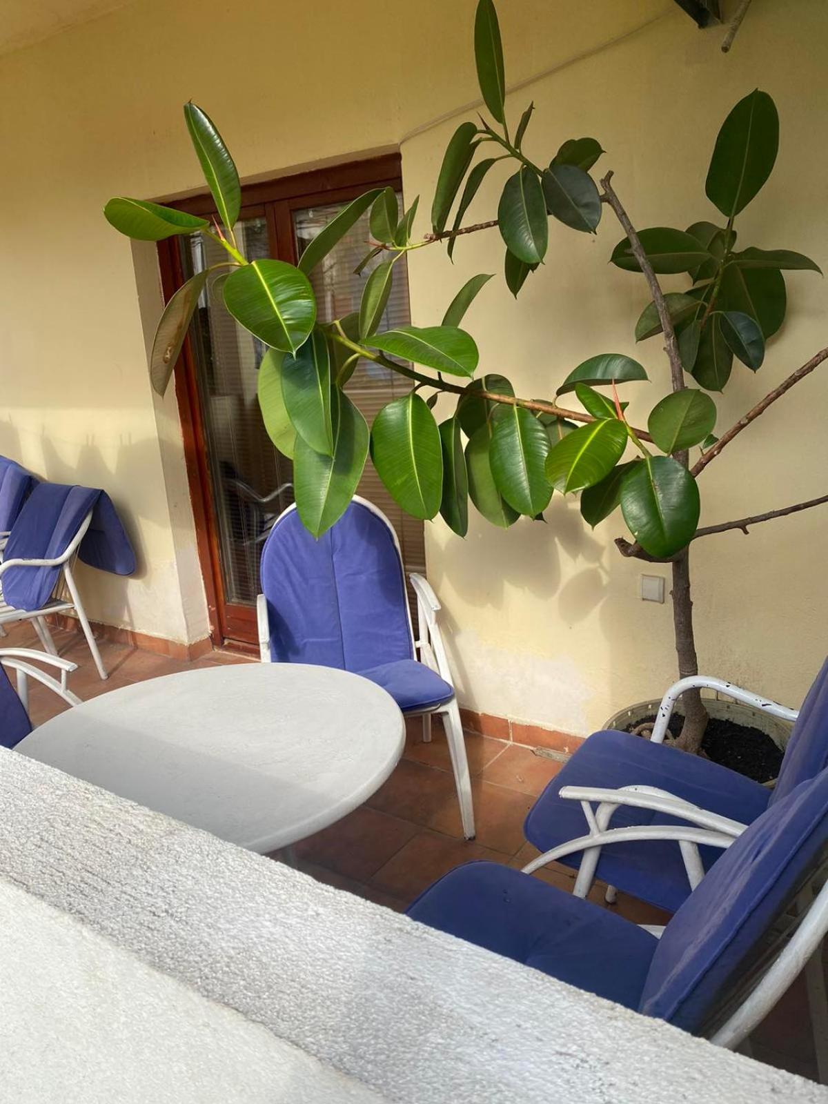 Apartmani Zelenika Херцег-Нови Номер фото