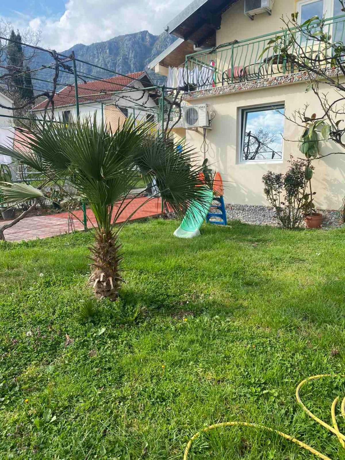Apartmani Zelenika Херцег-Нови Номер фото